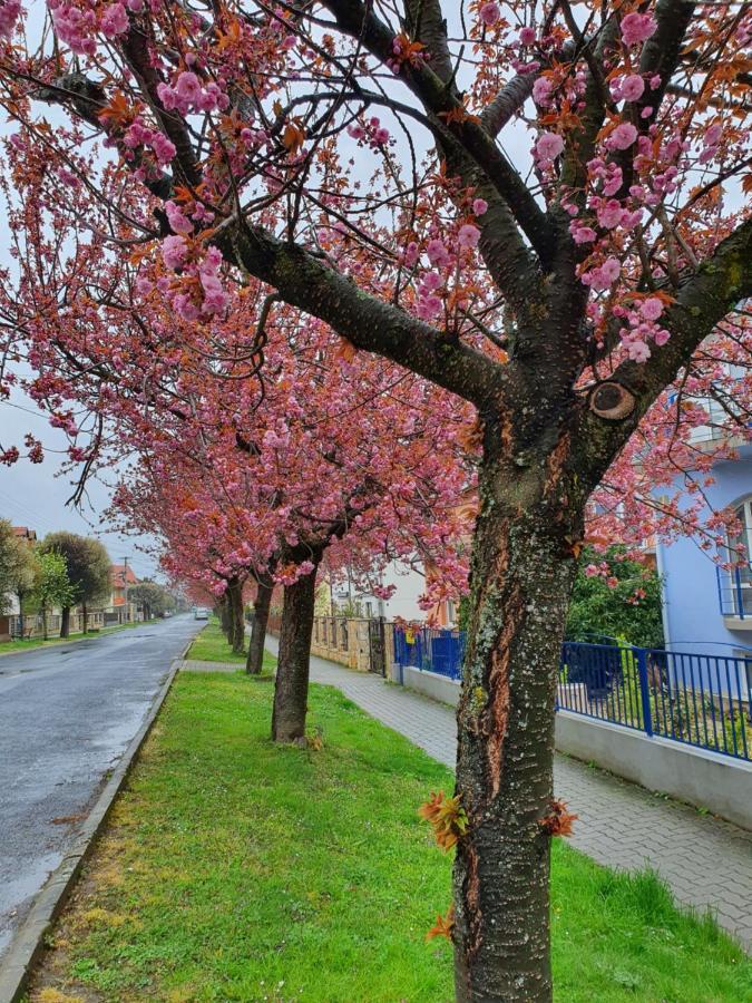 Laguna Apartmanhaz Heviz Bagian luar foto